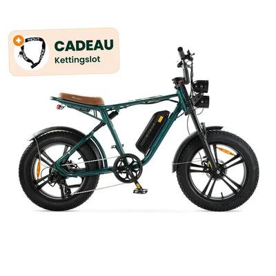 M20 - elektrische fatbike - 20 inch - 250w motor - wit - kettingslot cadeau