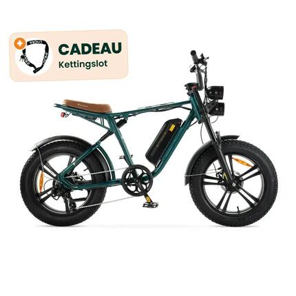 ENGWE M20 - Électrique Fatbike - Noir