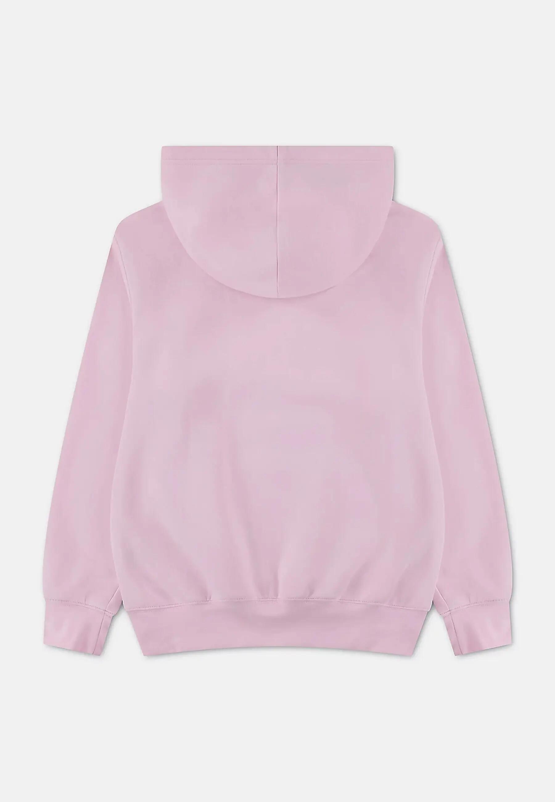 Sweat Jordan 45g244 A9y Rose 5/6