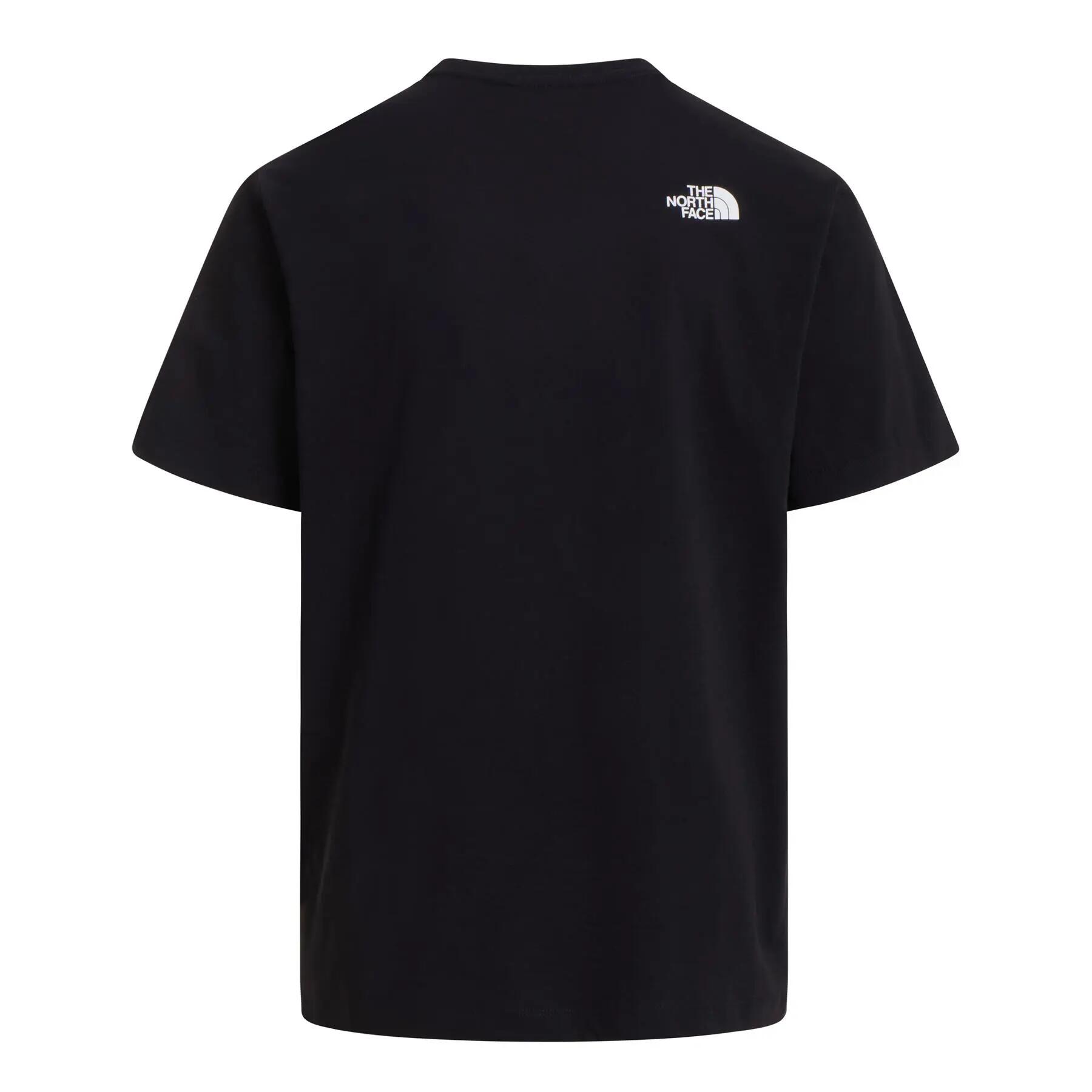 Koszulka sportowa męska THE NORTH FACE NSE REG 2/5