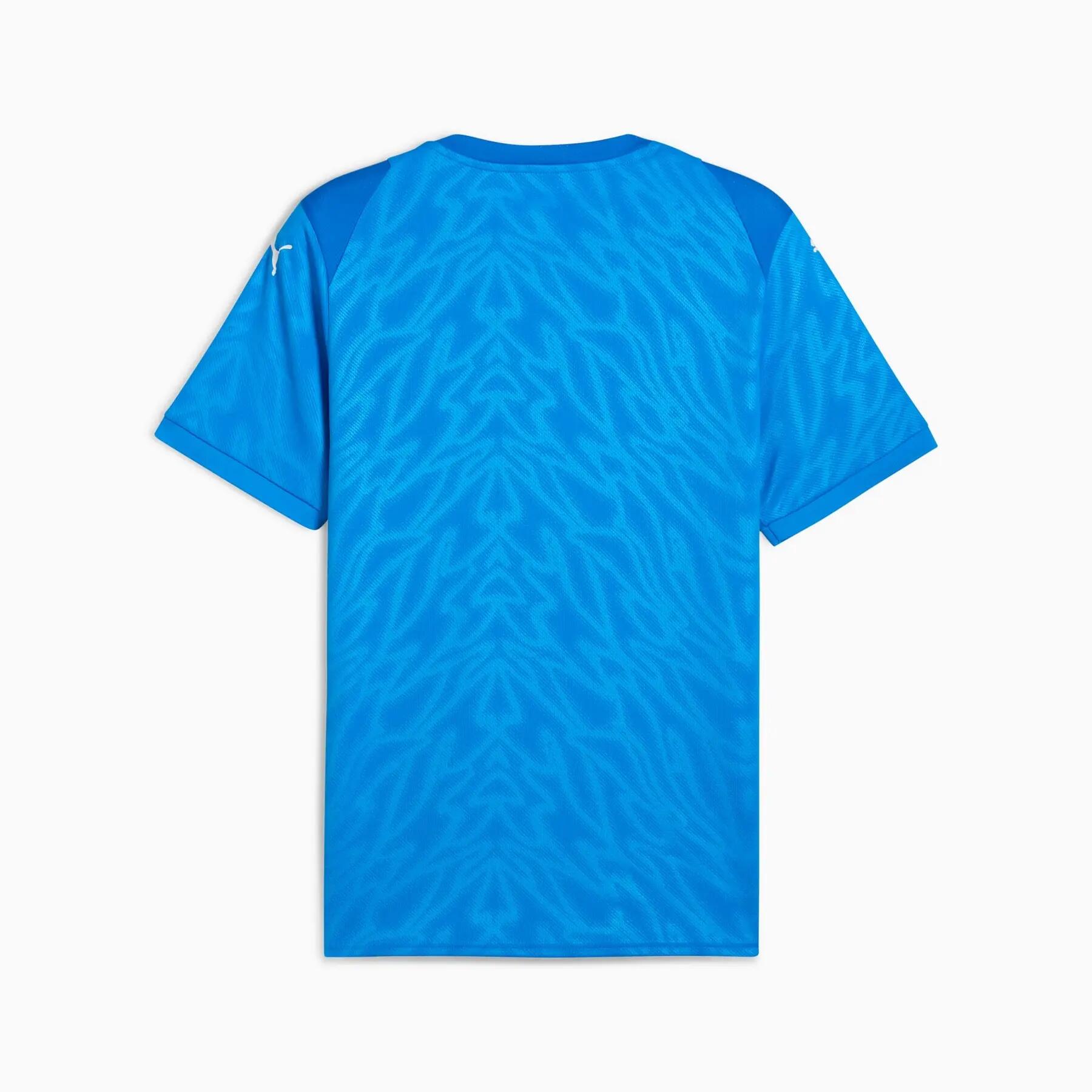 Puma TEAMCUP JERSEY heren voetbalshirt 2/3