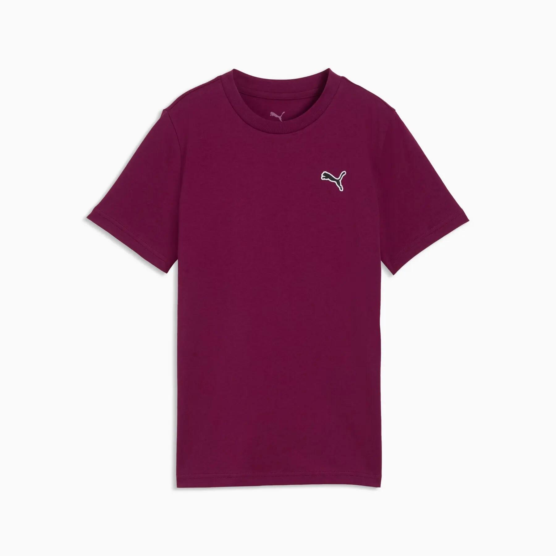 PUMA picture