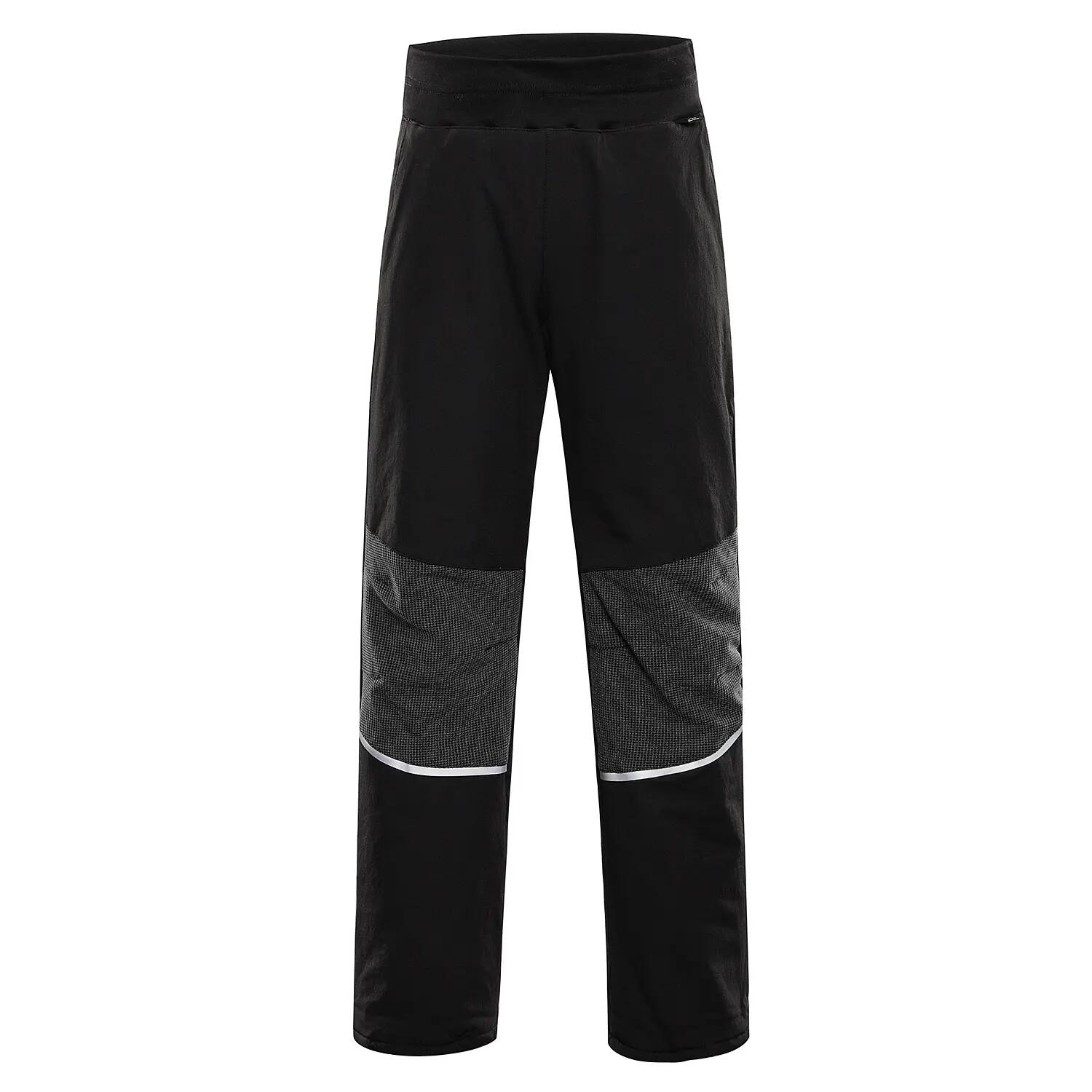 ALPINE PRO picture