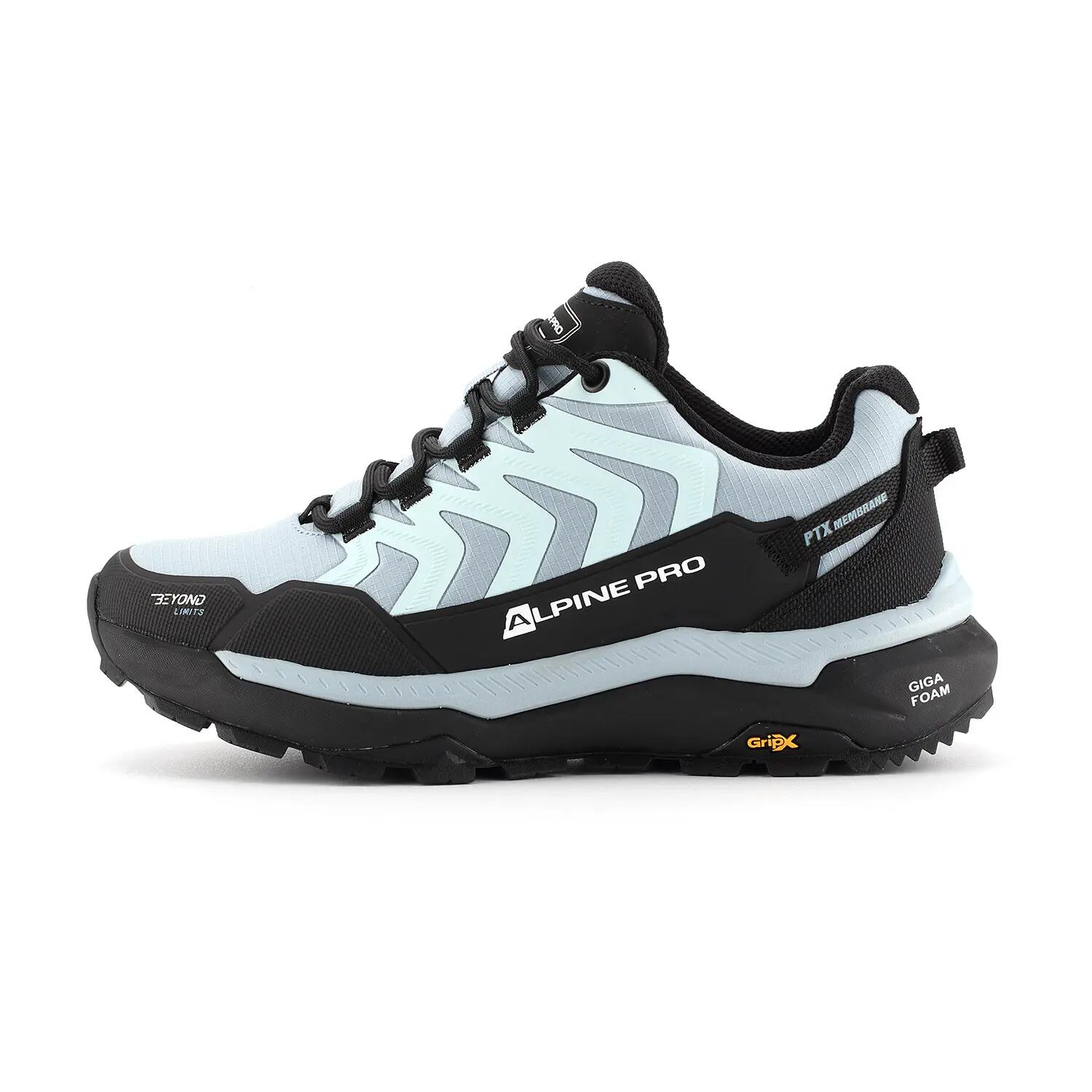 ALPINE PRO picture