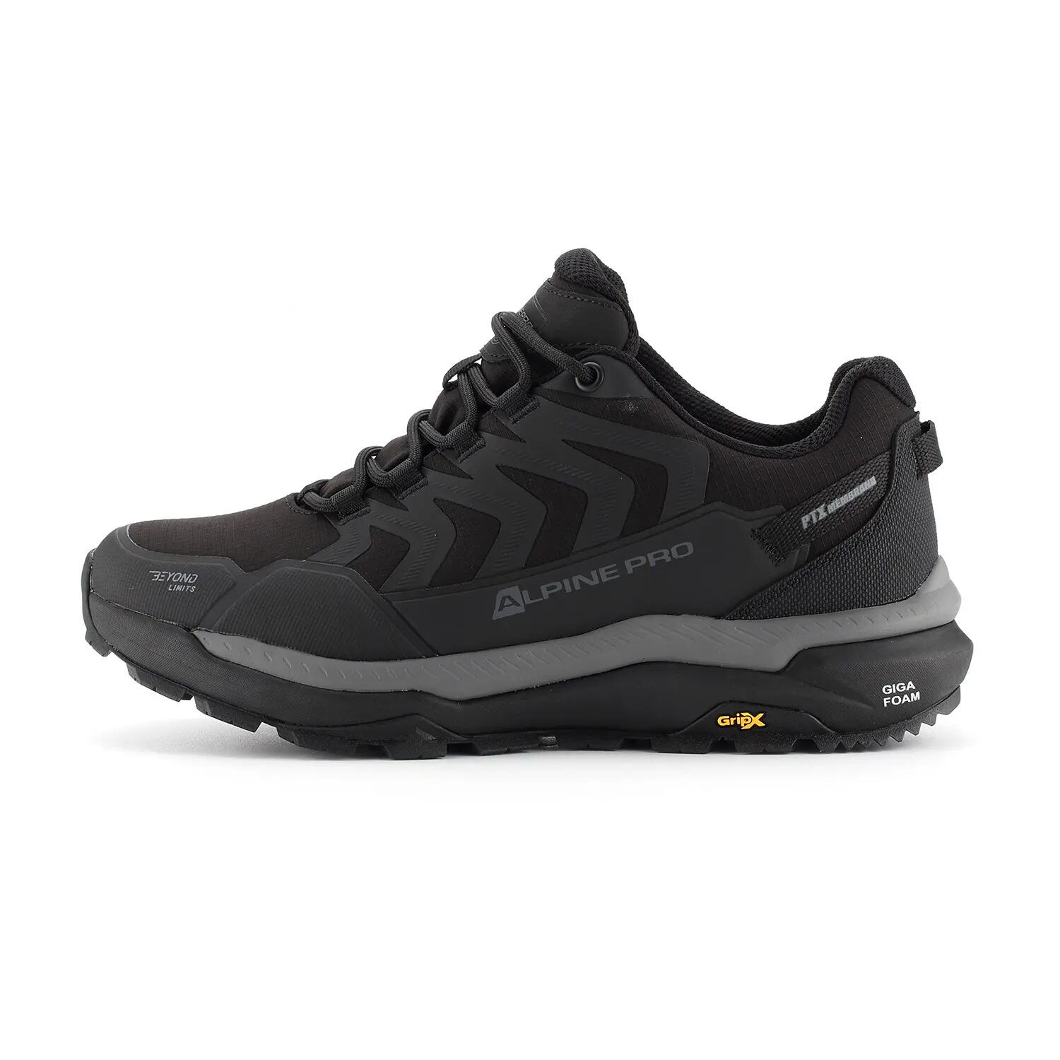ALPINE PRO picture