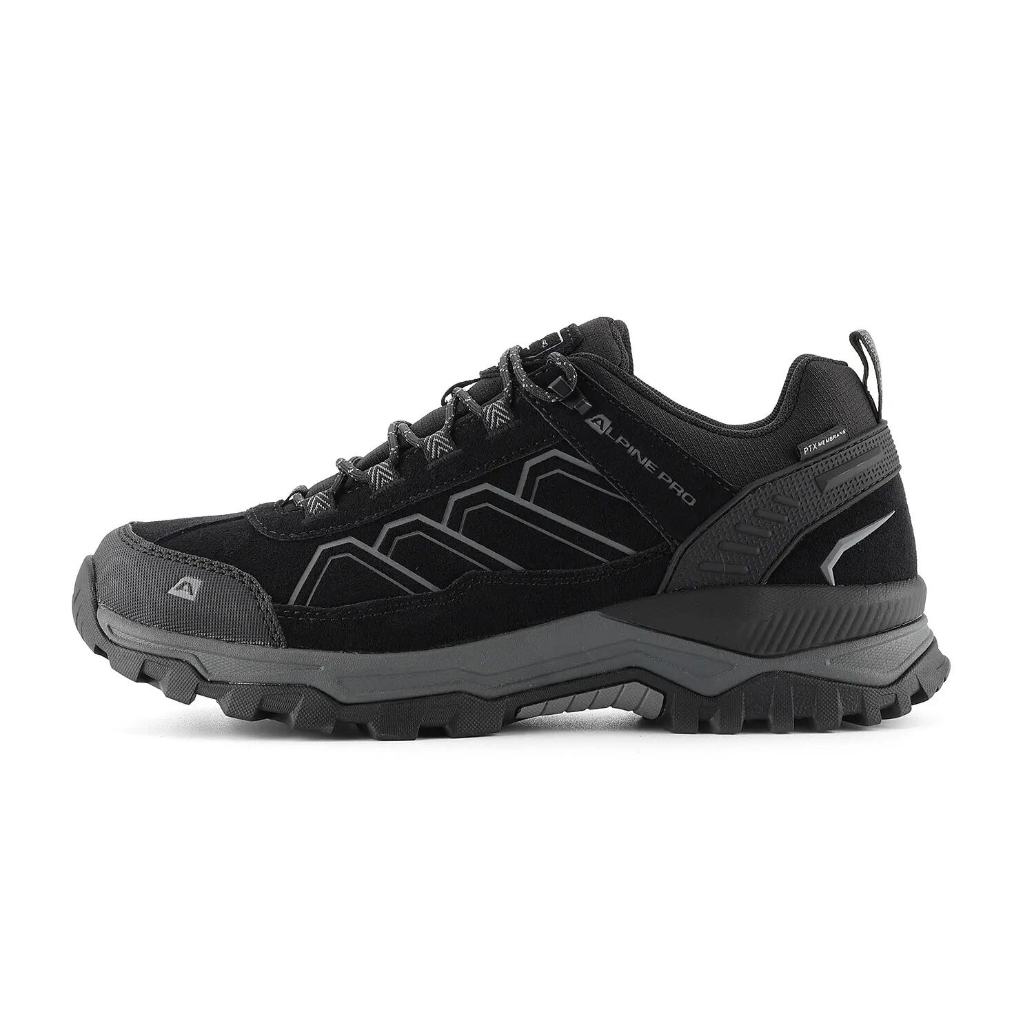 ALPINE PRO picture
