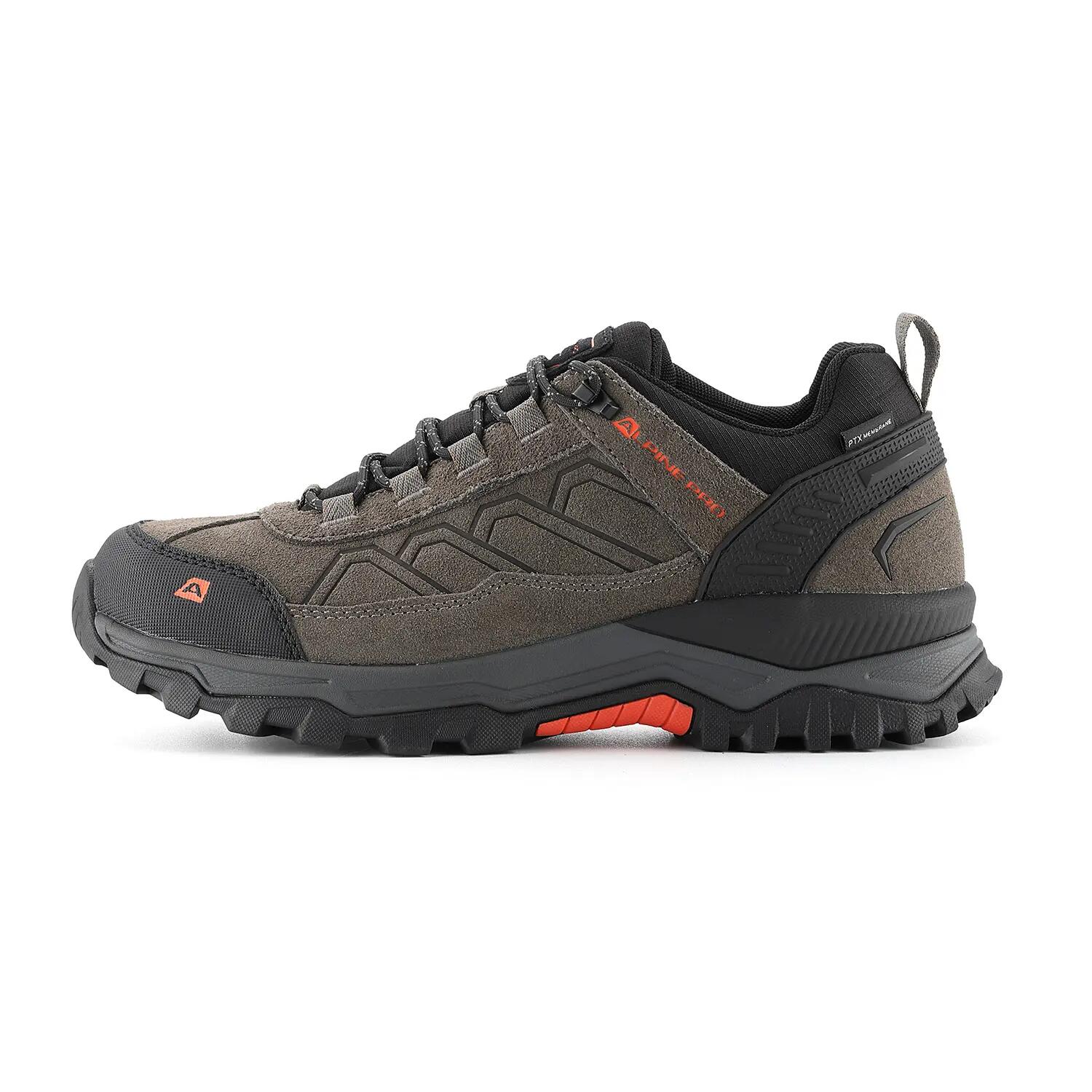 ALPINE PRO picture