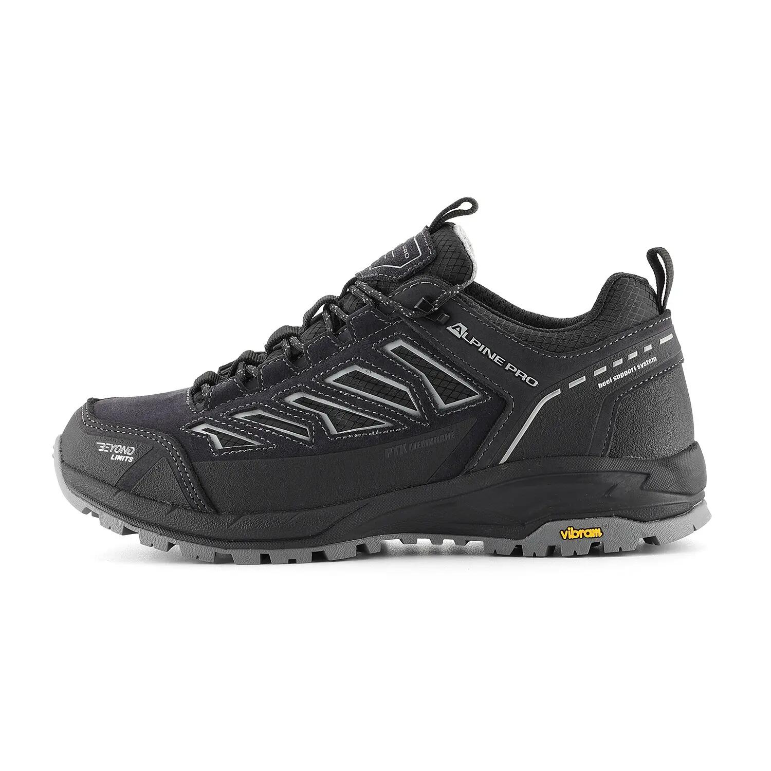 ALPINE PRO picture