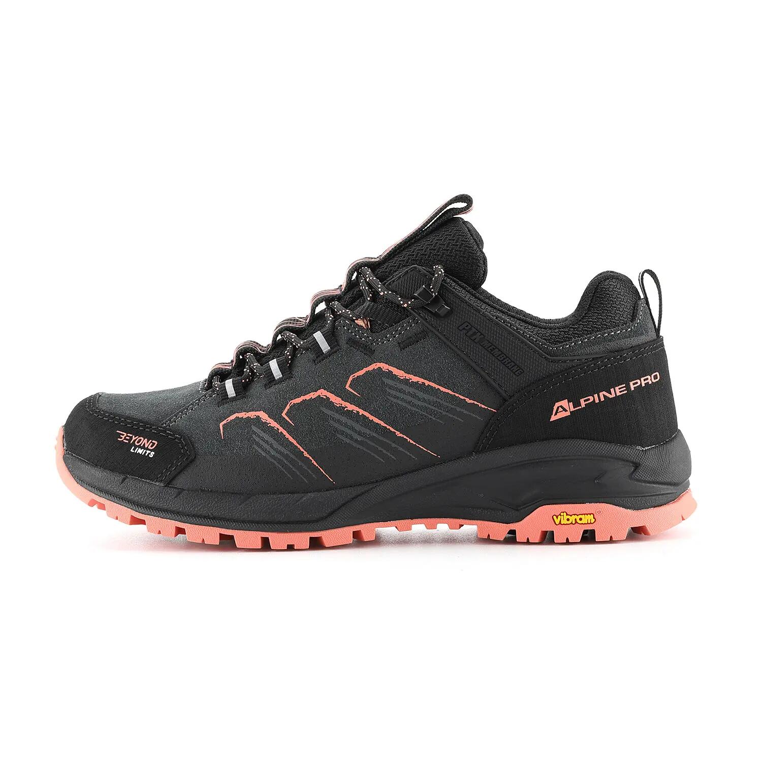 ALPINE PRO picture