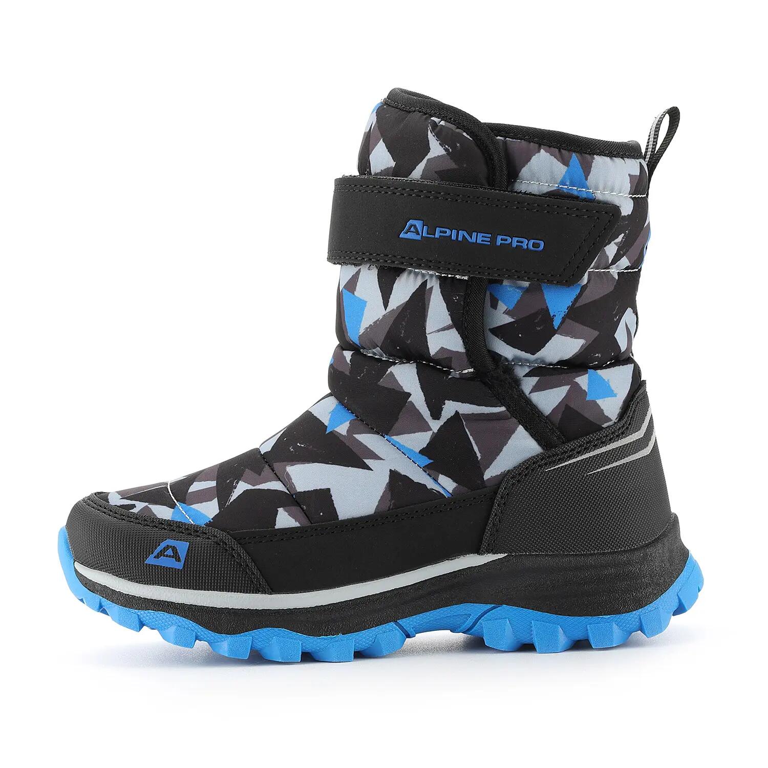 ALPINE PRO picture