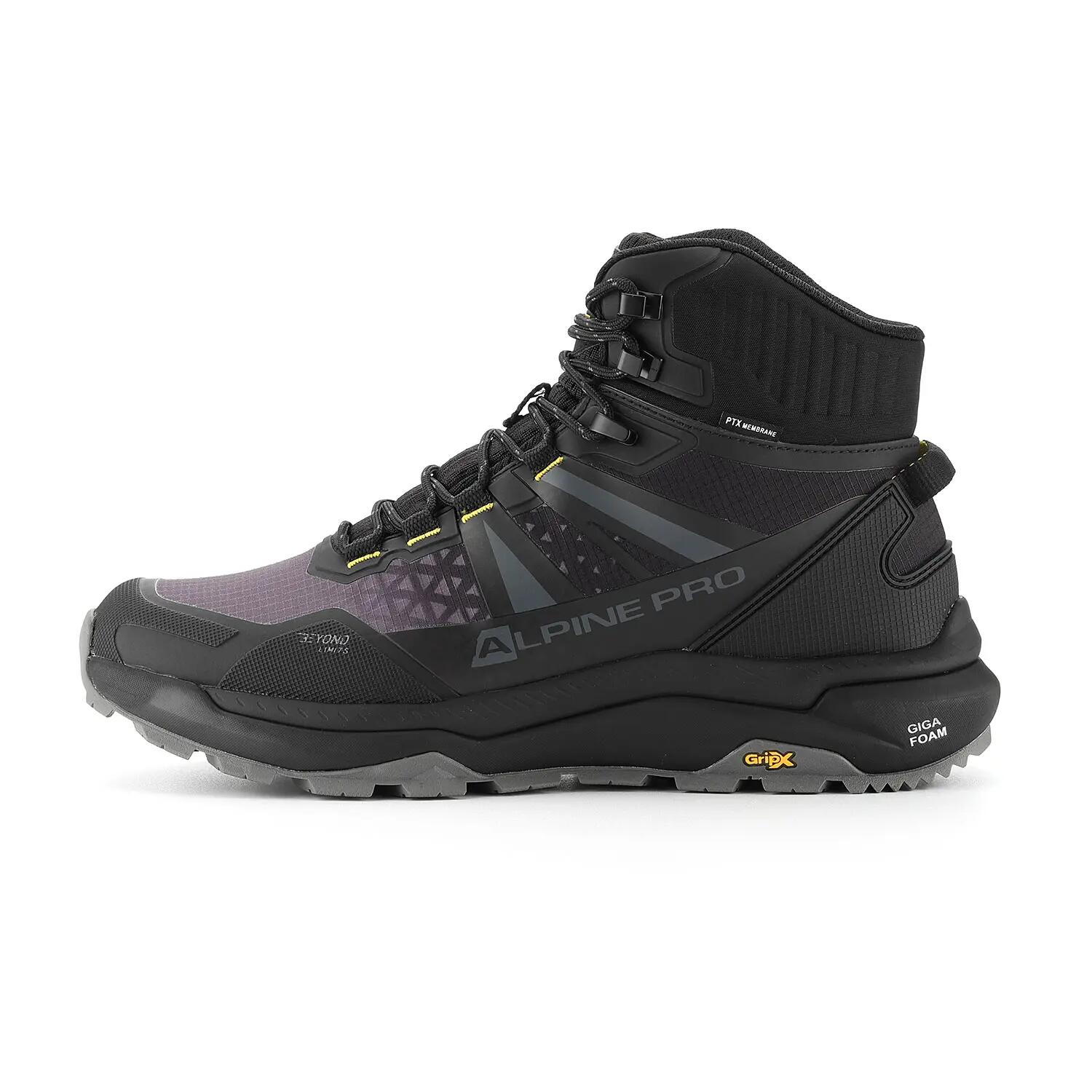 ALPINE PRO picture