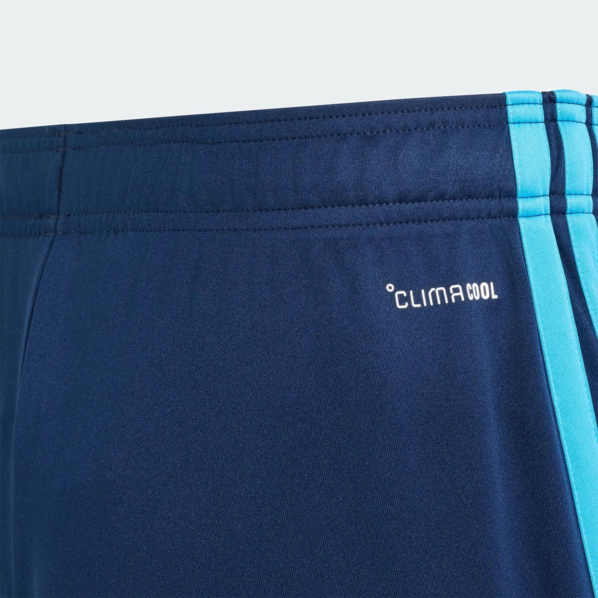 Short Domicile Paris FC 26/27 5/5
