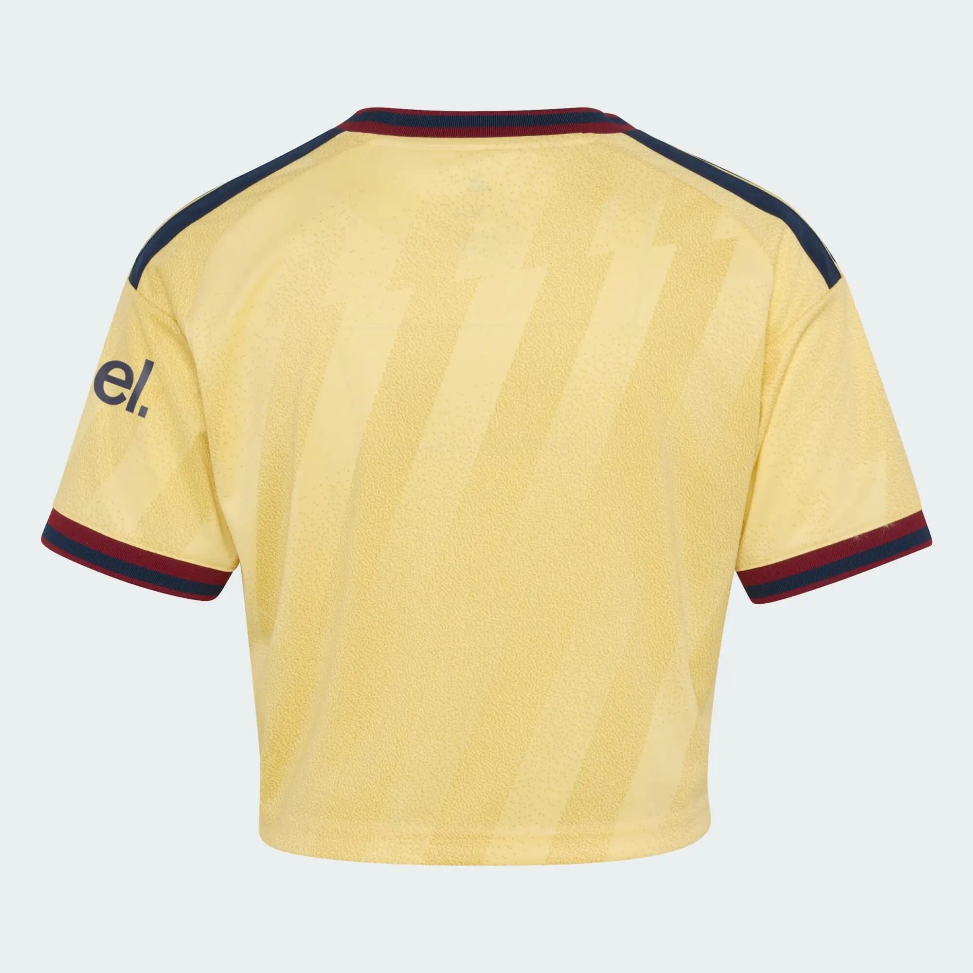 Camiseta corta tercera equipación Arsenal FC 26/27 5/6