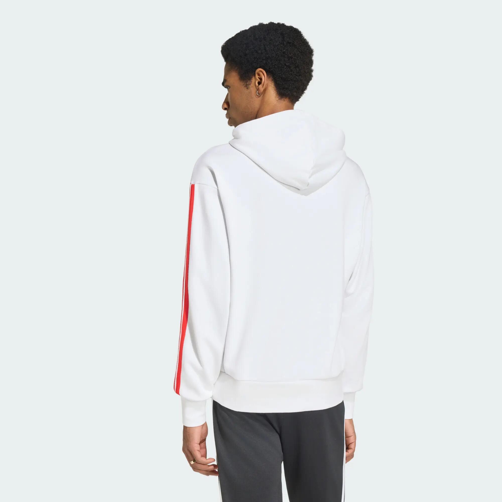 SL Benfica DNA Hoodie 3/5