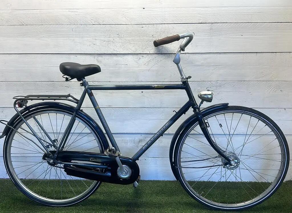 BATAVUS picture