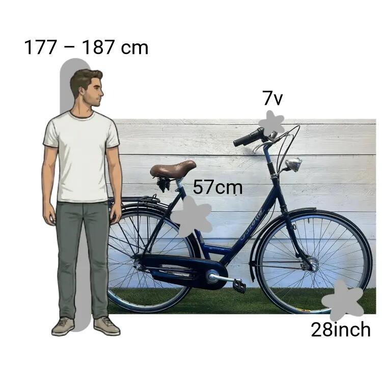 Gebraucht Gazelle Laguna 2/4