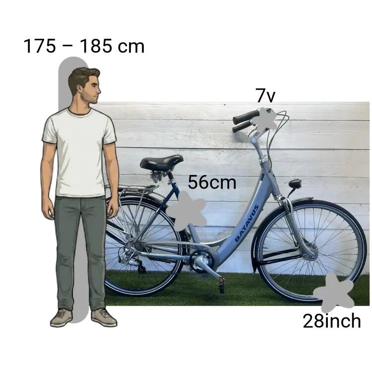 Gebraucht Batavus Padova Easy 2/4