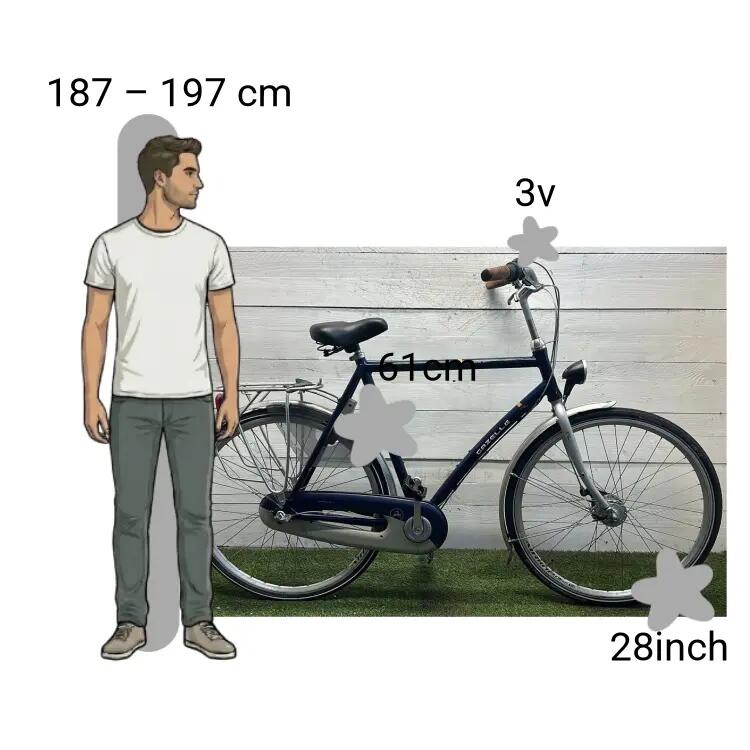 Gebraucht Gazelle NL 2/4