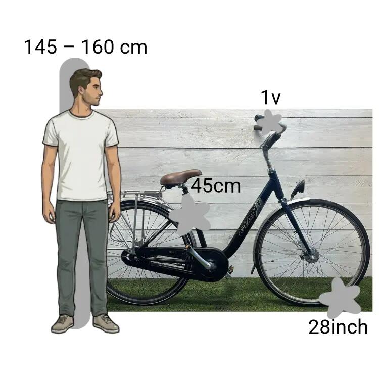 Bicicletta usata Giant Melbourne Extra Laag Frame 2/4