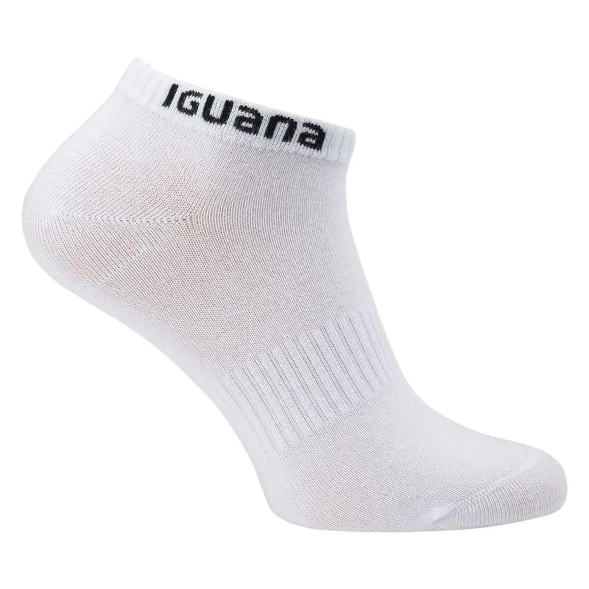 Drumeții În Natură Iguana Adulți 2/2