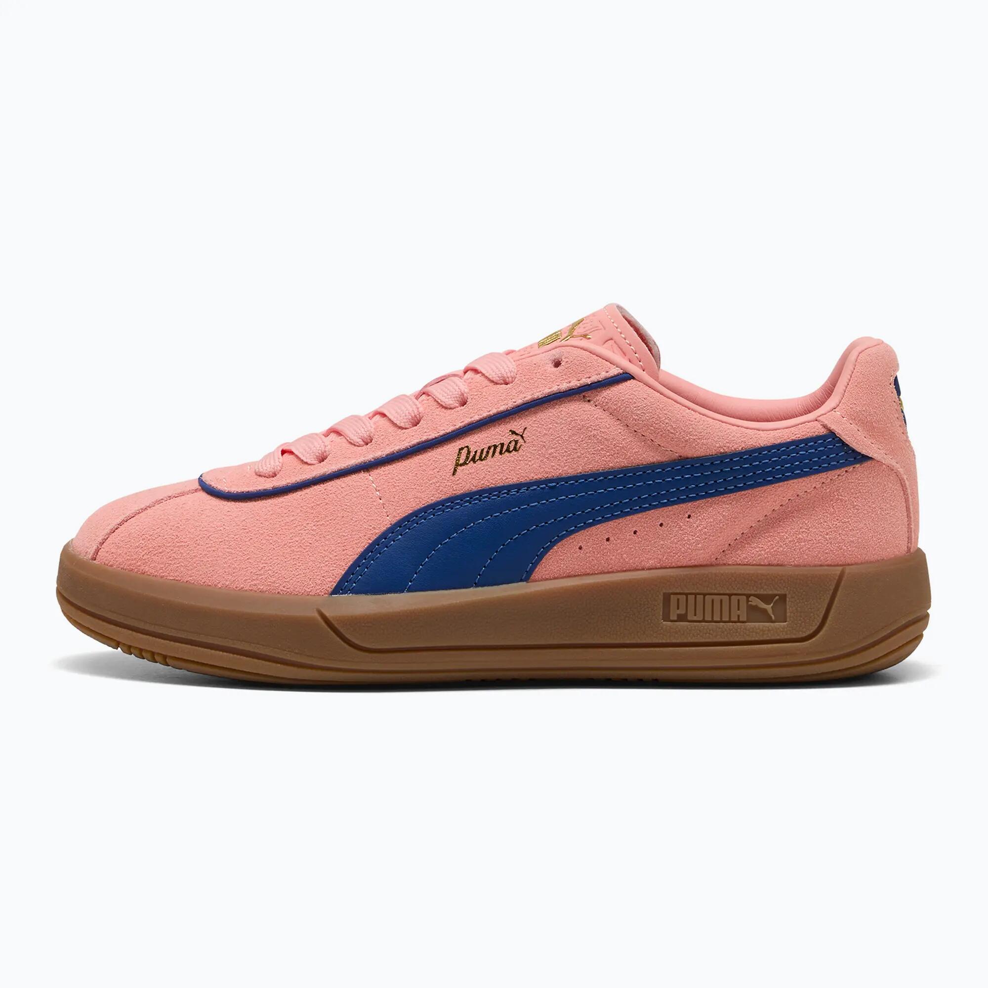 PUMA picture