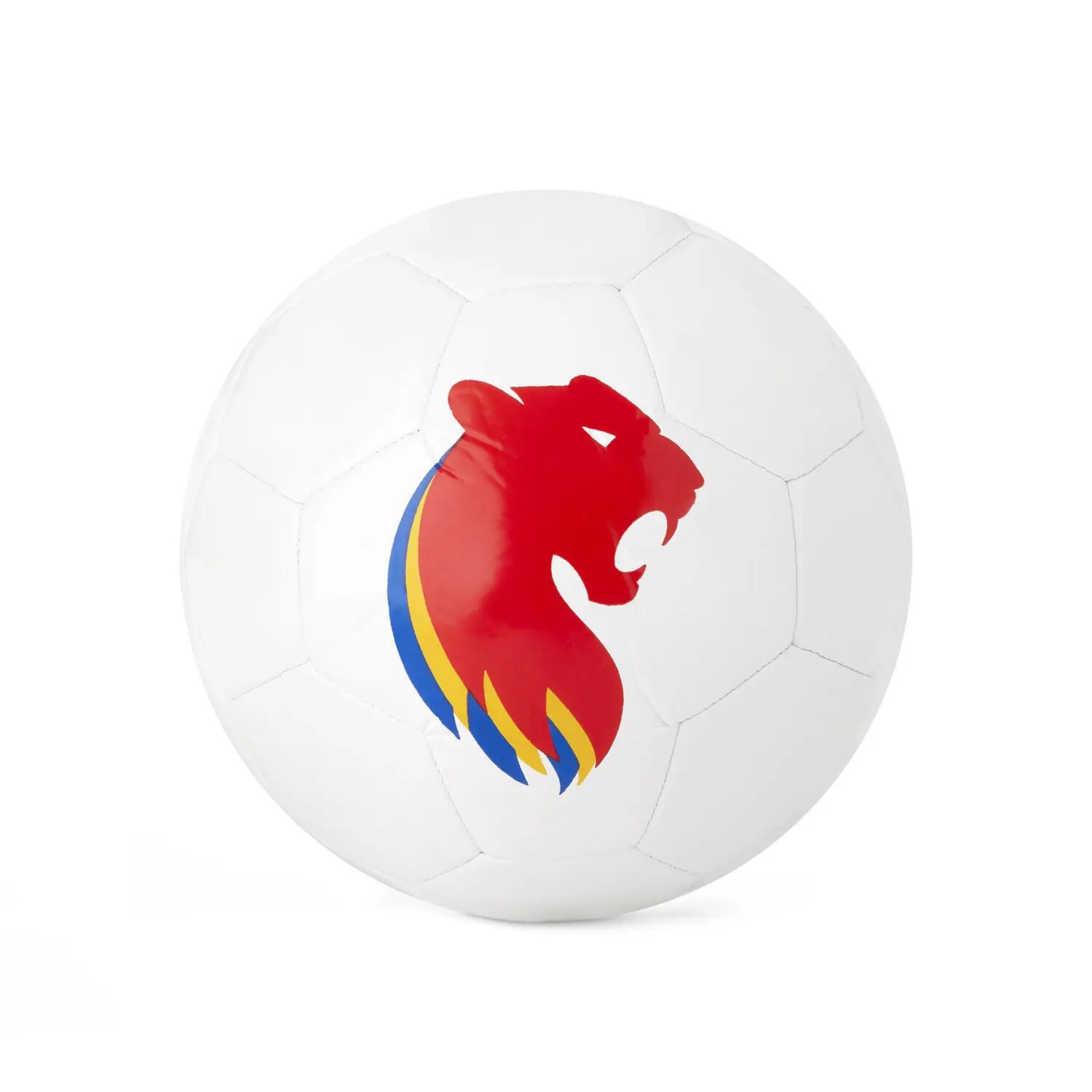 Ballon T1 - Gamme ON - OL Lyonnes 3/5