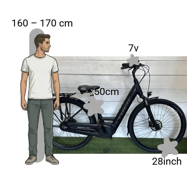 Gebraucht Trek District+ 6 Lowstep 2/4