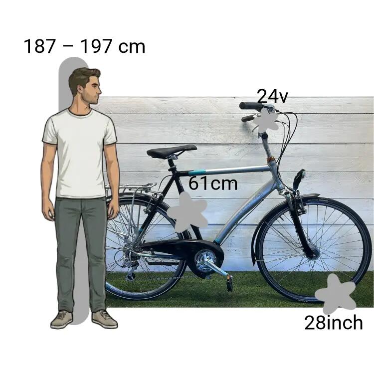 Bicicletta usata Batavus Cayuca 2/4