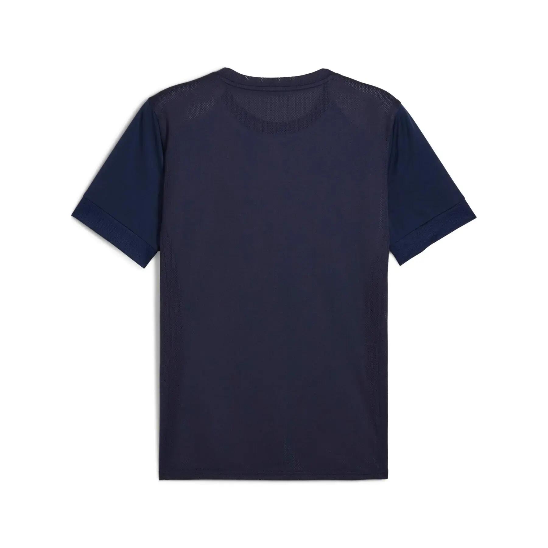 Maillot Puma teamGoal Graphic 2/2