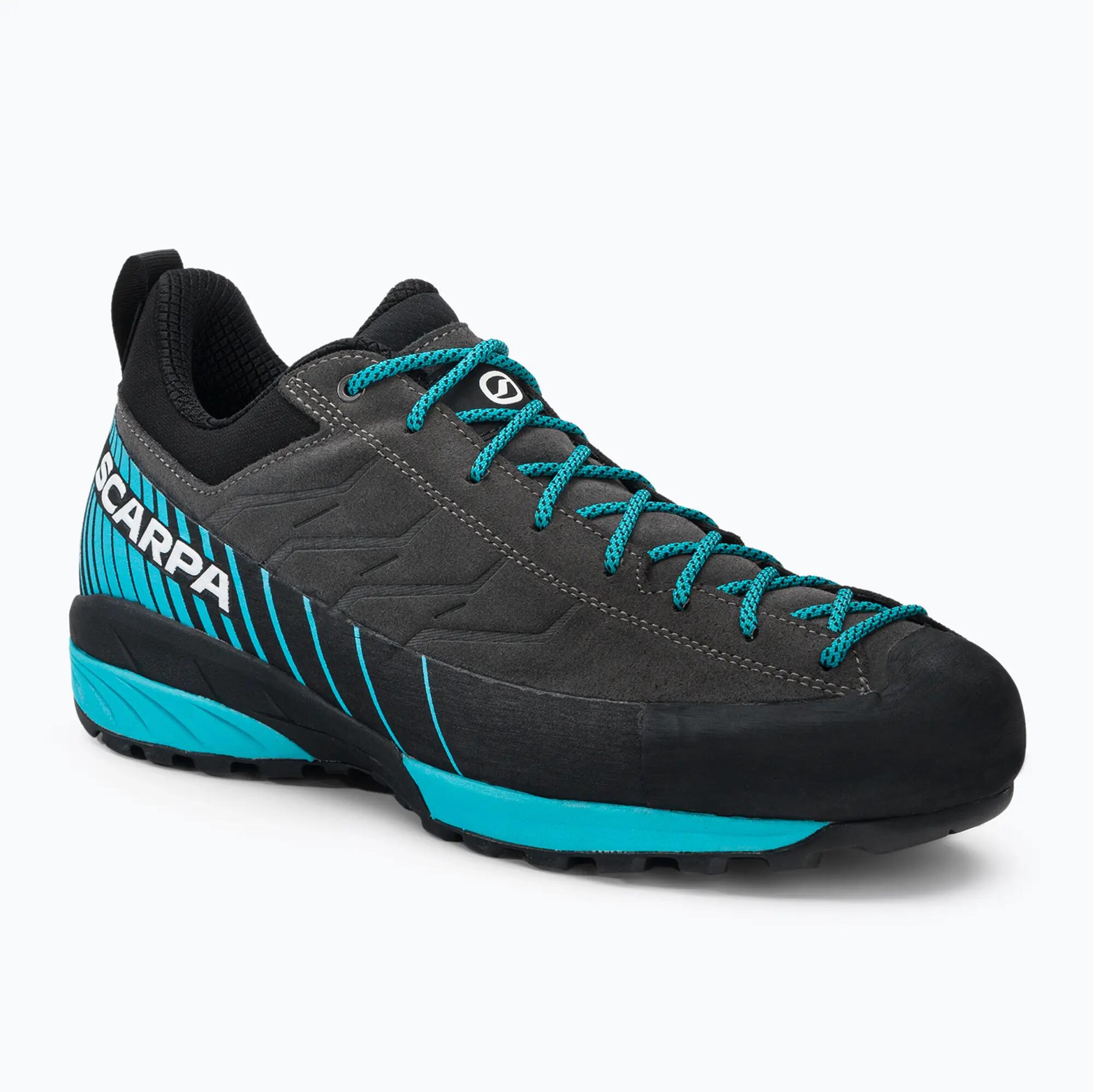 SCARPA picture