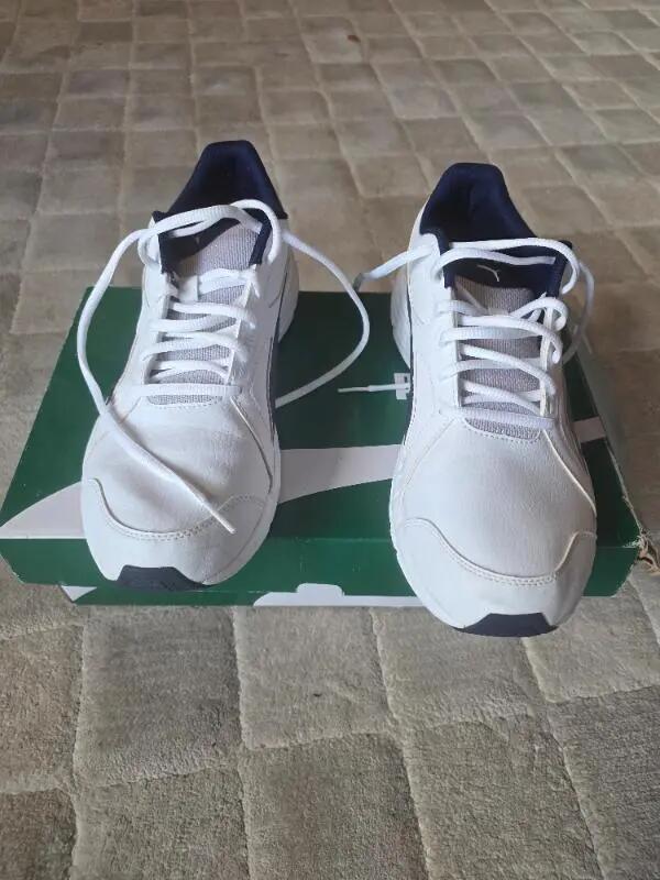 PUMA picture