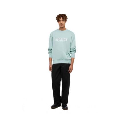Sudadera Dickies SCRIPT para hombre