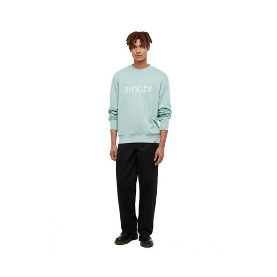 Sudadera Dickies SCRIPT para hombre