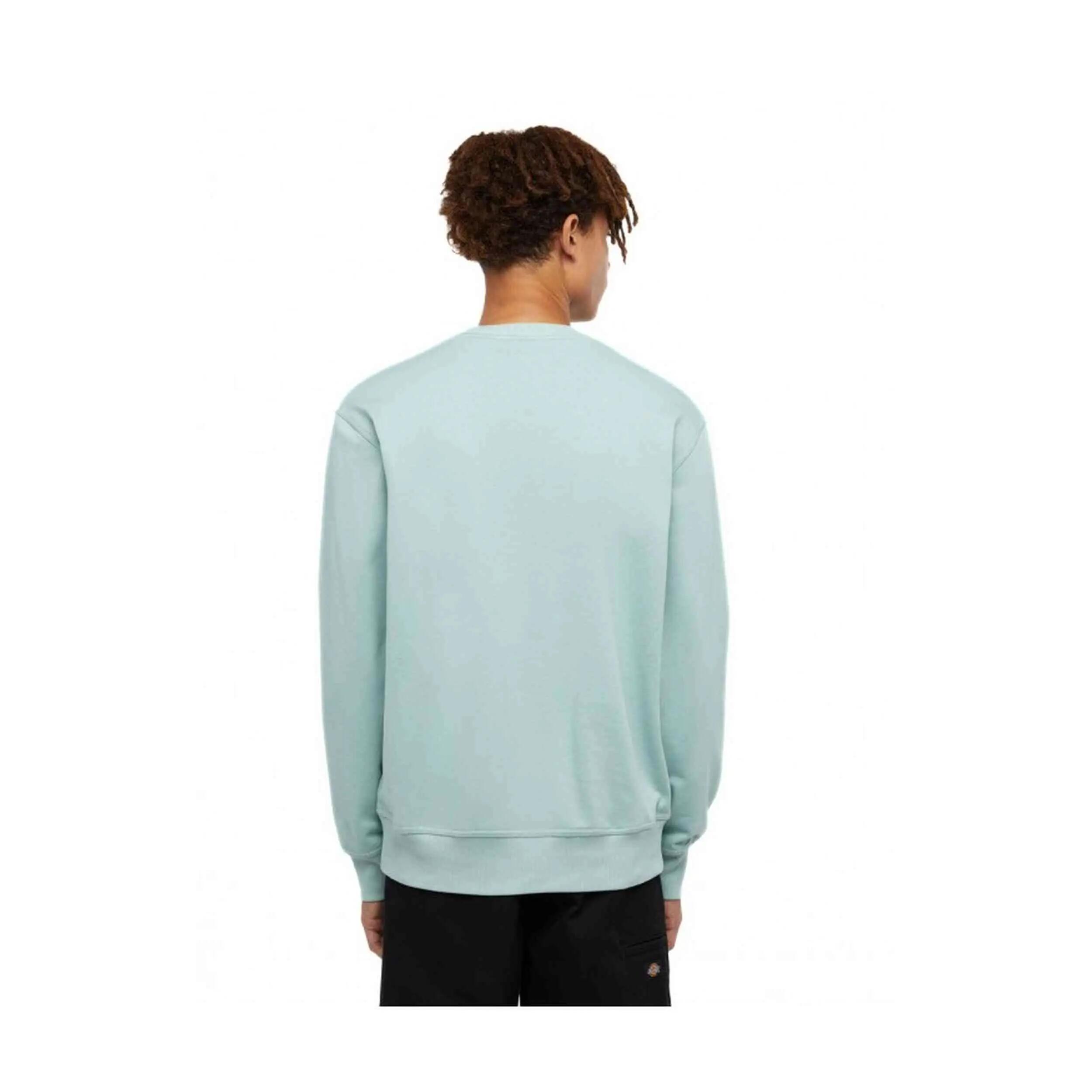 Sudadera Dickies SCRIPT para hombre 4/4