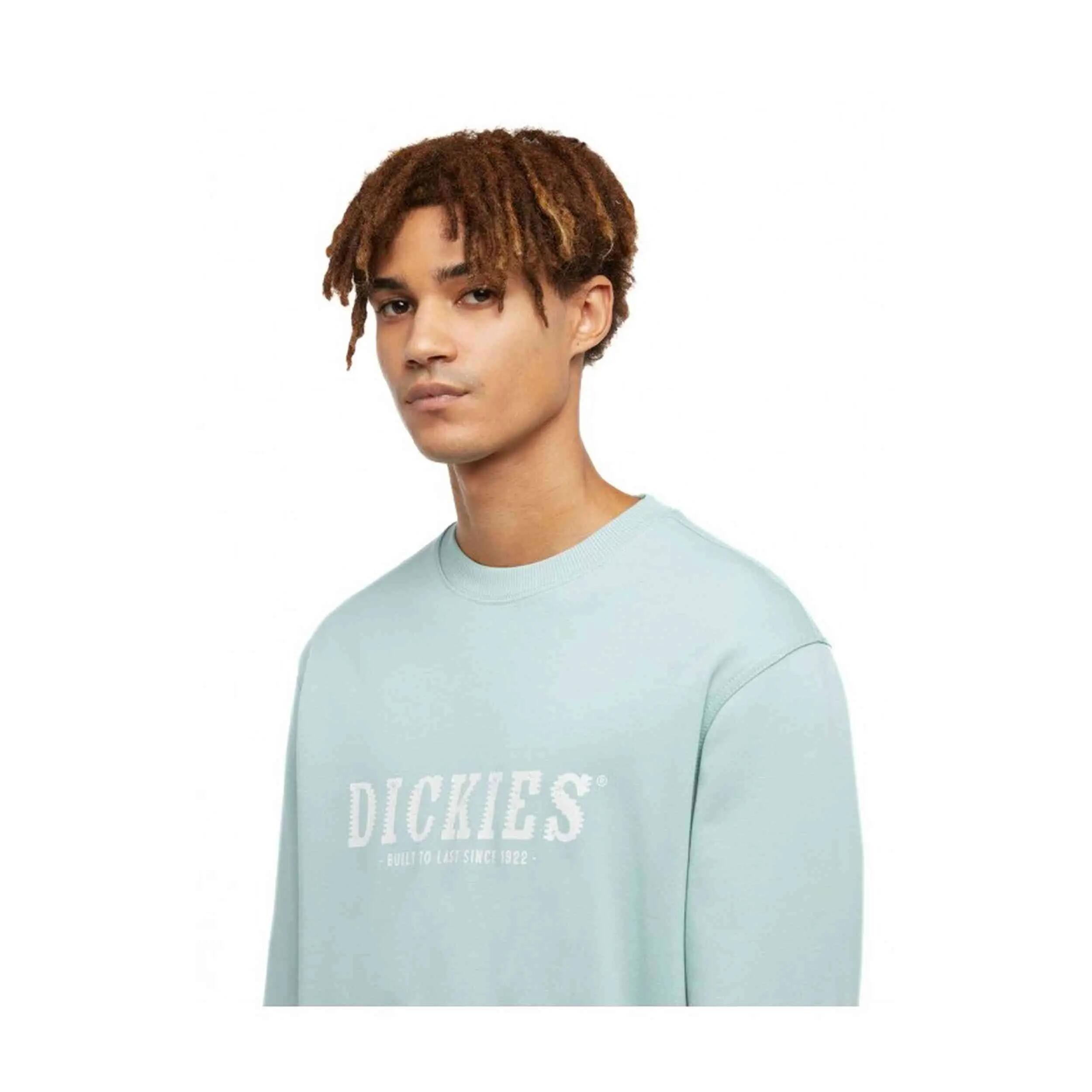 Sudadera Dickies SCRIPT para hombre 3/4