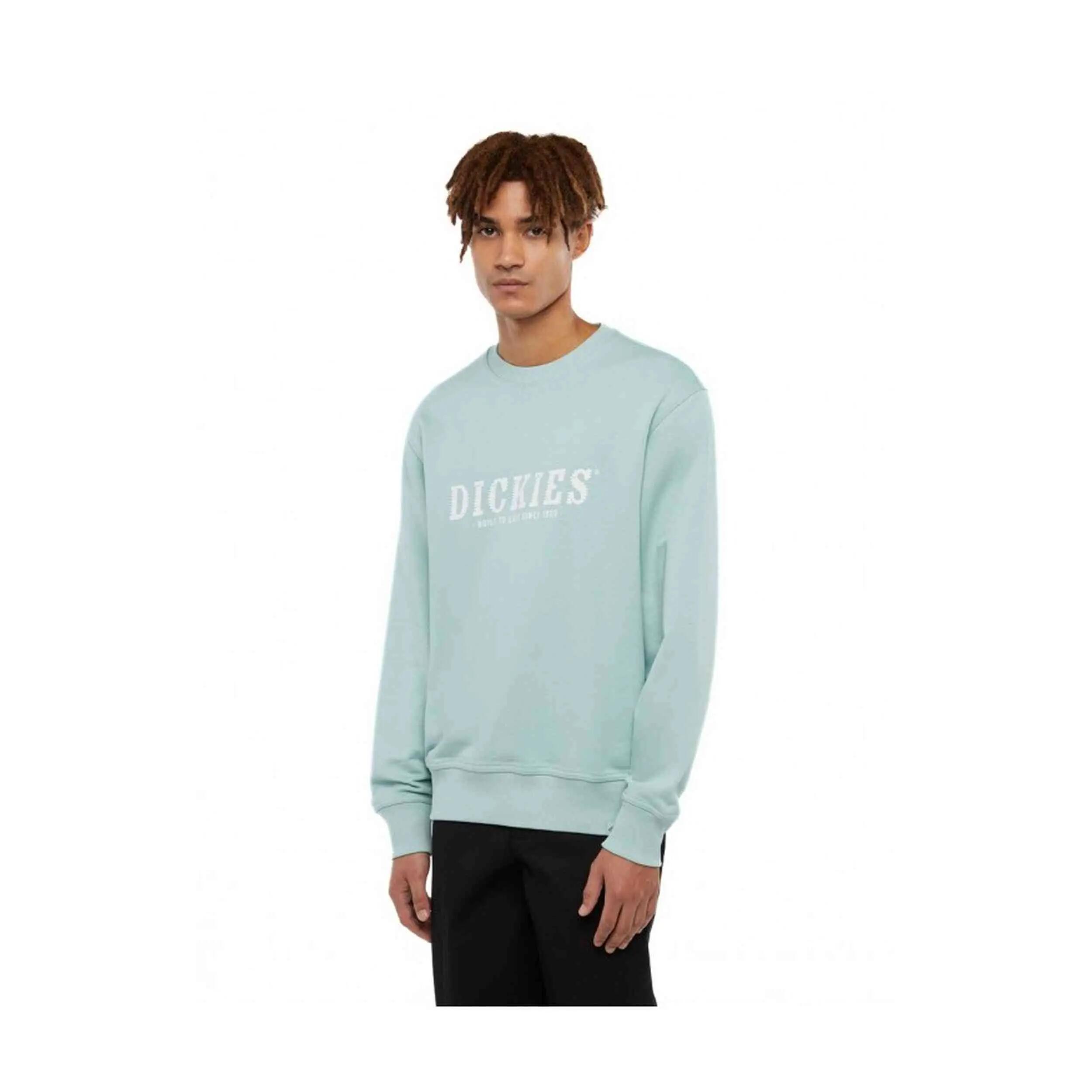 Sudadera Dickies SCRIPT para hombre 2/4