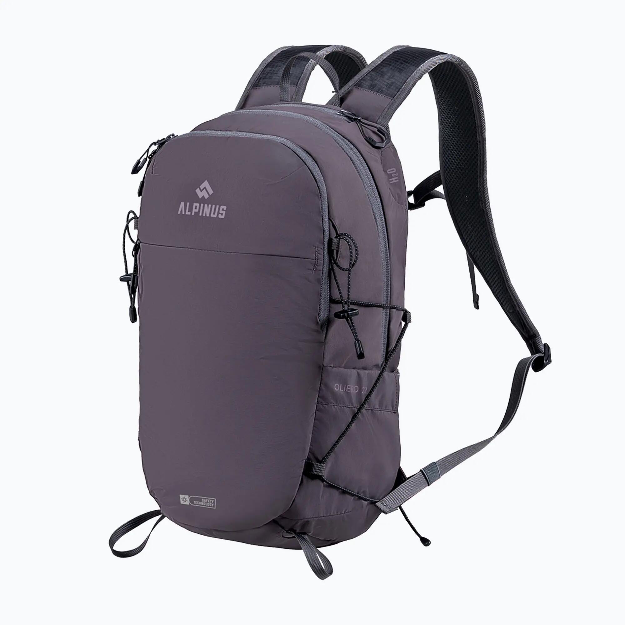 ALPINUS picture