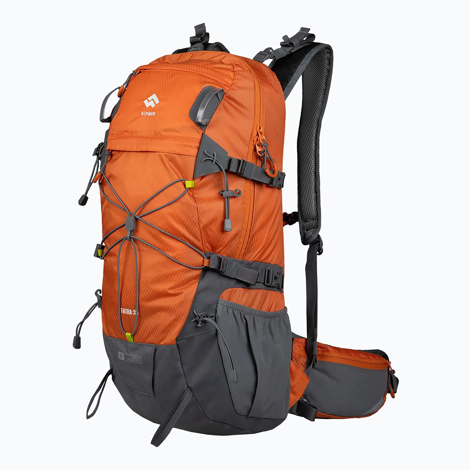 ALPINUS picture
