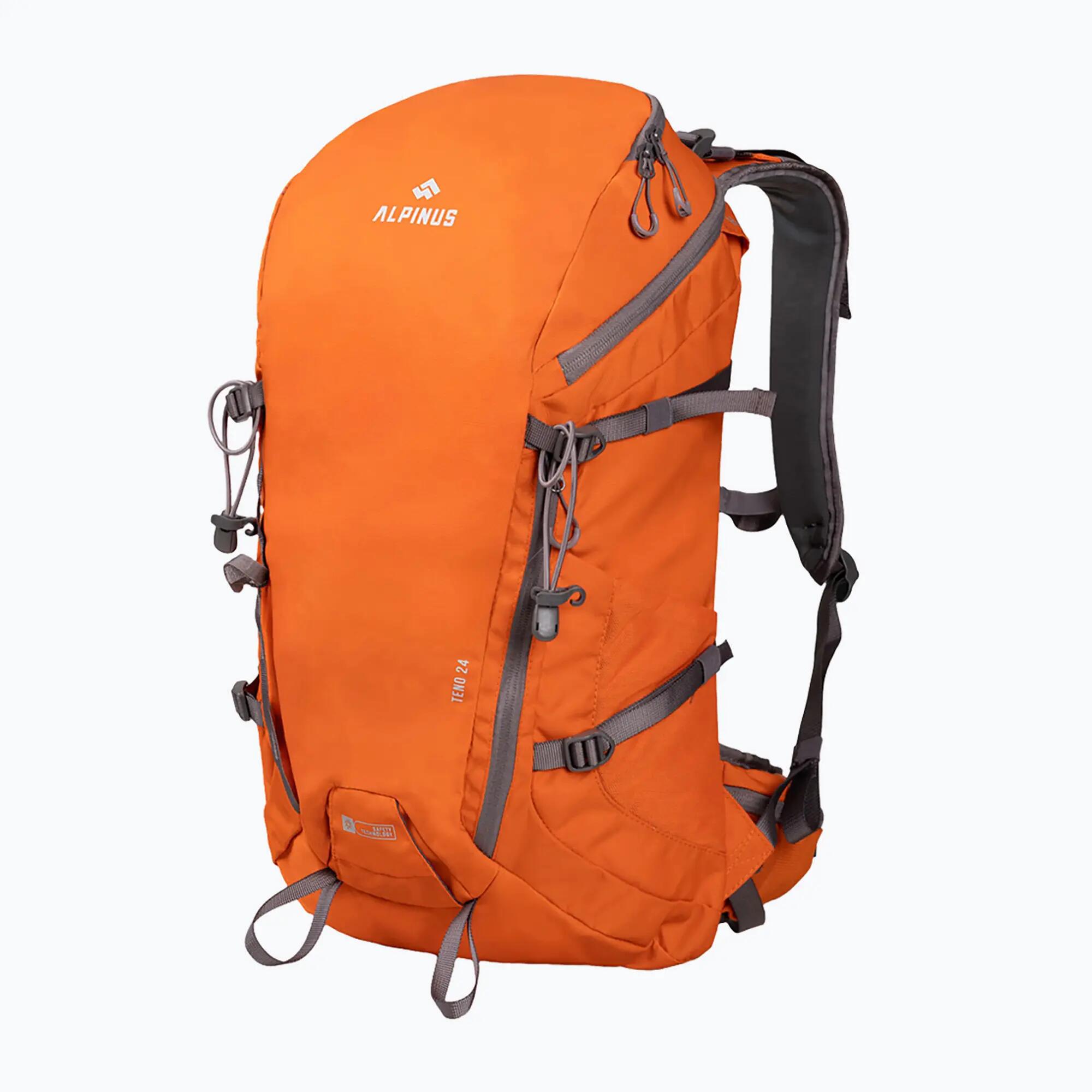 ALPINUS picture