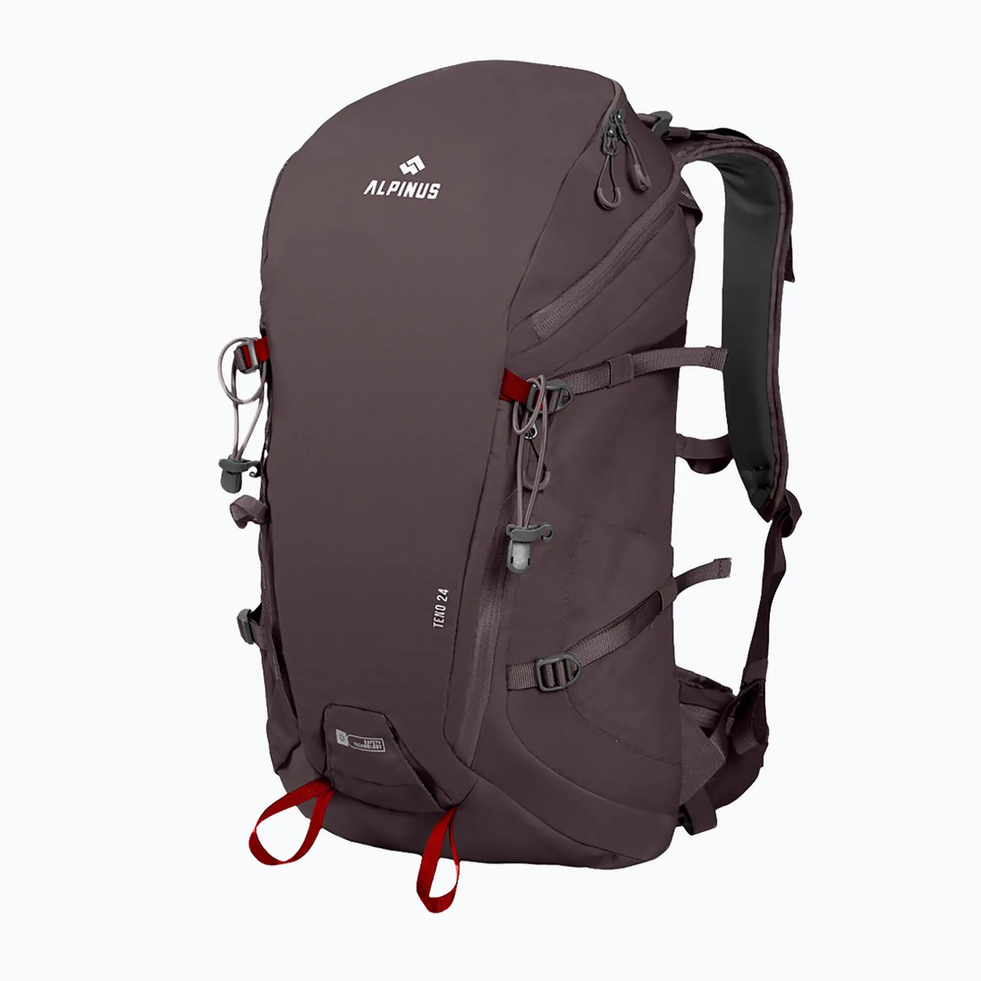 ALPINUS picture