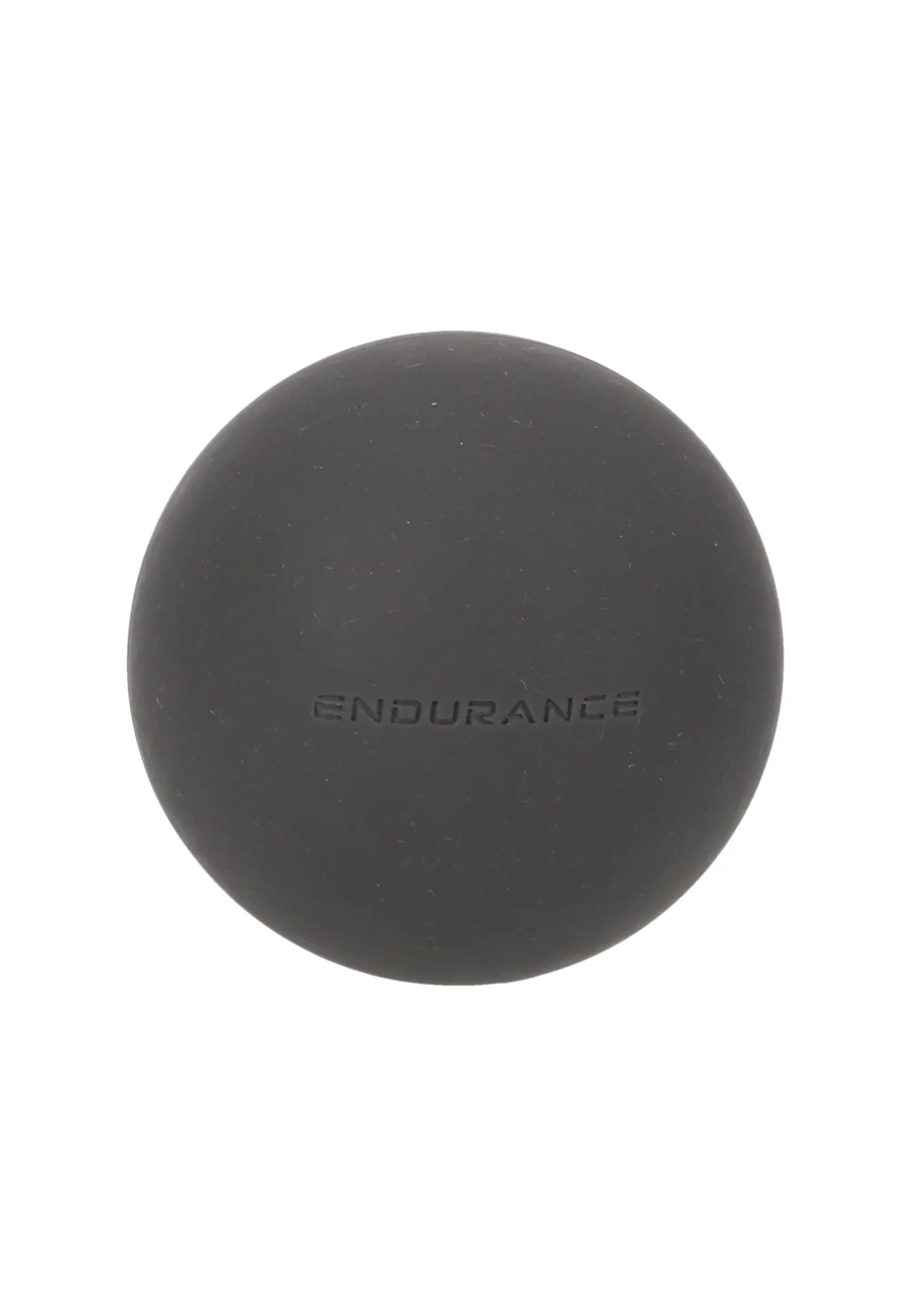 ENDURANCE picture