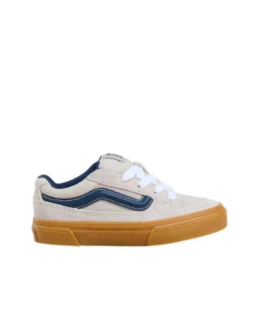 VANS picture