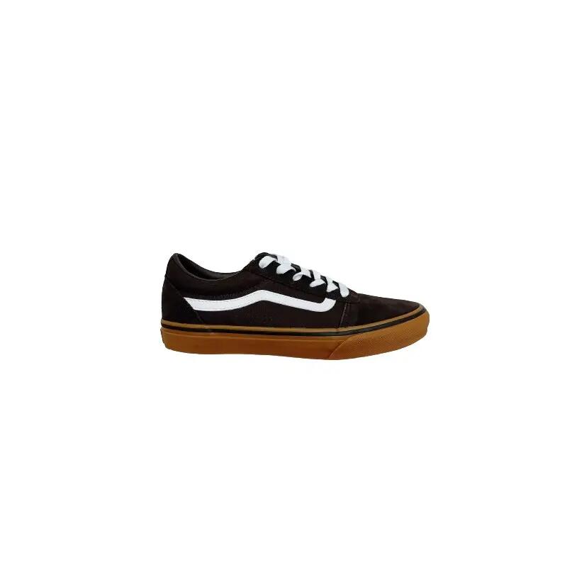 VANS picture