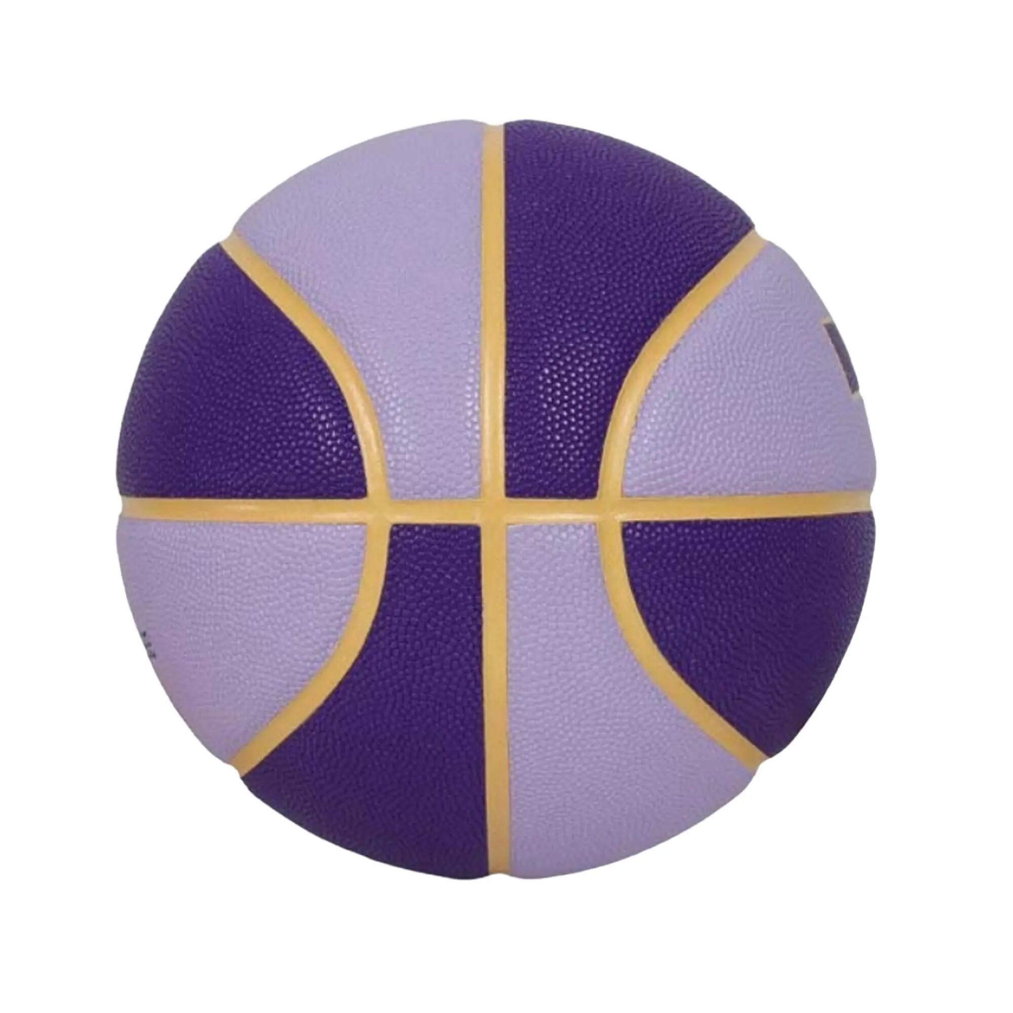 LeBron Two Tone Basketball (Hydrangea Purple/Gold/Purple) 7 4/4