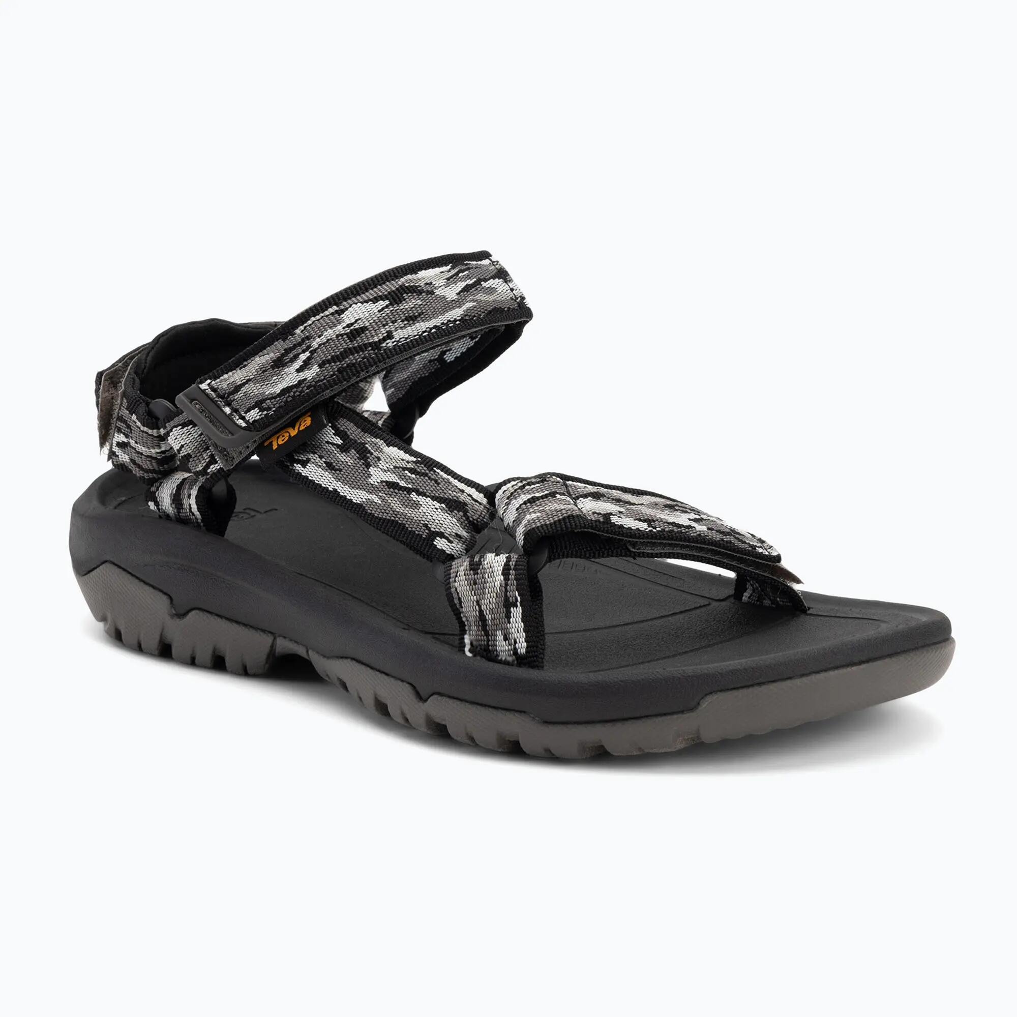 TEVA picture