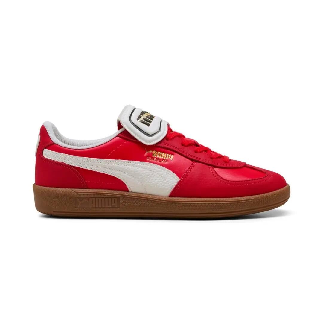 PUMA picture