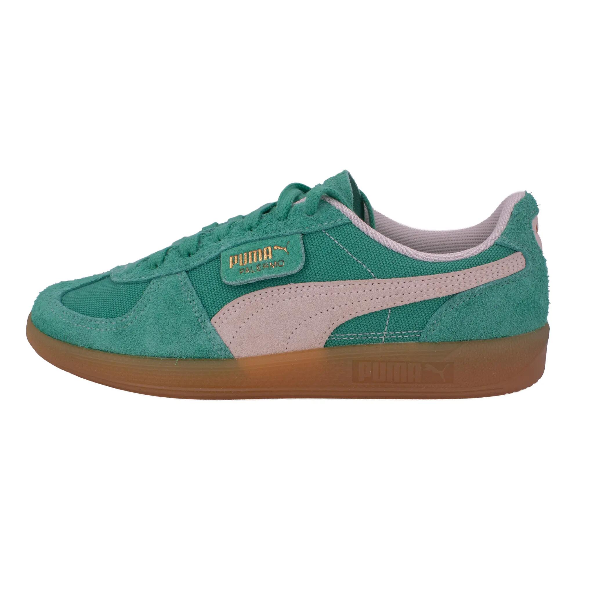 PUMA picture