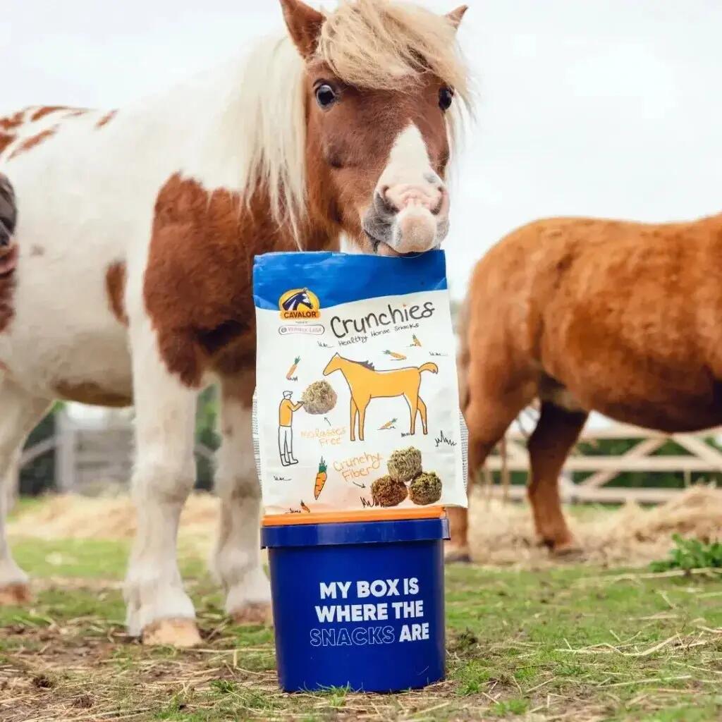 Cavalor Crunchies 1.5 Kg Kleurloos - 3/3