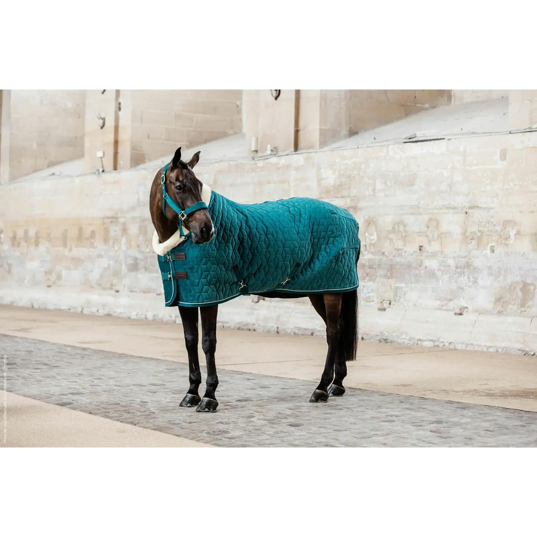 Show Rug Velvet deken smaragd 160-7'0 160g 2/5