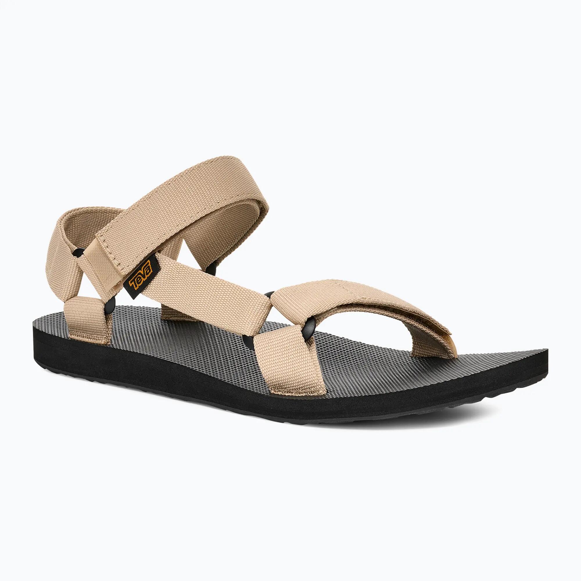 TEVA picture